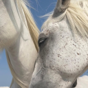 fruits-defendus avatar