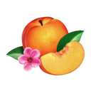 fruits-from-ecuador avatar