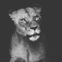 fruitsofilm-blog avatar