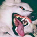 fruity-charms avatar