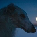 fruity-cryptid avatar