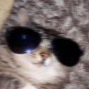 fruity-cutie-the-person avatar