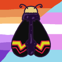 fruity-moth avatar