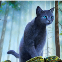 fruityfrog989 avatar