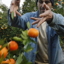 fruityyamenrunner avatar