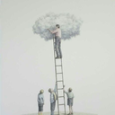 frutamuerta-blog avatar