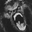 ftmwarewolves avatar