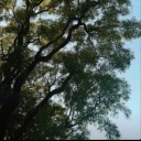 fuck-everything-but-food avatar