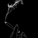 fuck-me-up-bitch avatar