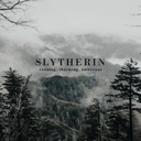 fuck-struck-fangirl avatar