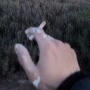 fuck-the-call avatar