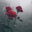 fuckedintheheadkrc avatar