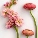 fuckedupmatrixxx avatar