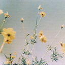 fuckedupworldbaby avatar