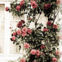 fuckedyfuck-blog-blog avatar