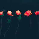 fuckerlove1-blog avatar