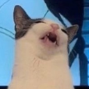 fuckermcbitey avatar