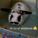 fucking-i-dunno avatar