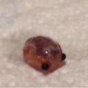 fuckingfairies avatar