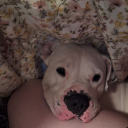 fuckingrayofsunshine avatar