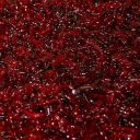 fuckingstupidpuppygirl avatar