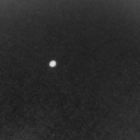 fuckingwhateverfuck avatar