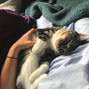 fuckinqreality avatar