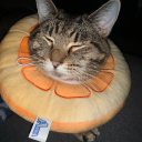 fuckintorikrystine avatar