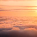 fuckitforgendry avatar