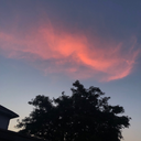 fuckmemilesteller avatar