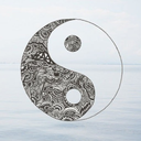 fuckoff-fucklife avatar