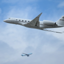 fucktaylorswift avatar