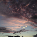 fuckuallplease avatar