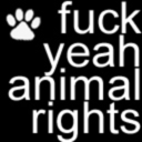 fuckyeah-animalrights avatar