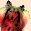 fuckyeahallthecollies avatar