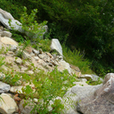 fuckyeahasheville avatar