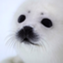 fuckyeahbabyseals avatar