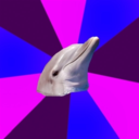 fuckyeahbidolphin avatar