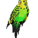 fuckyeahbudgies avatar