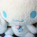 fuckyeahcinnamoroll-blog avatar