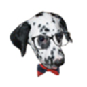 fuckyeahdalmatian avatar