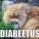 fuckyeahdiabeticcat avatar