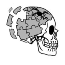 fuckyeahforensicanthropolog-blog avatar