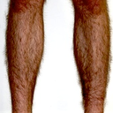 fuckyeahhairylegs avatar