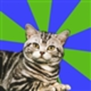 fuckyeahintrovertcat avatar