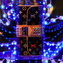 fuckyeahlouisvuitton avatar