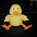 fuckyeahmrduck avatar