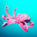 fuckyeahoctopus avatar