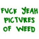 fuckyeahpicturesofweed avatar
