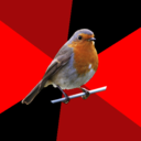 fuckyeahretailrobin avatar